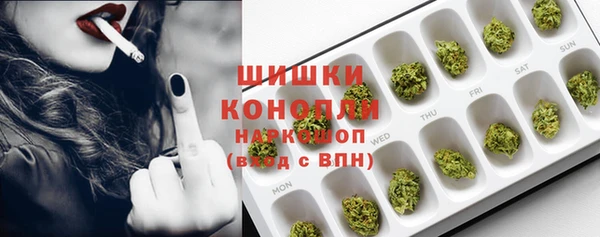 гидра Абаза