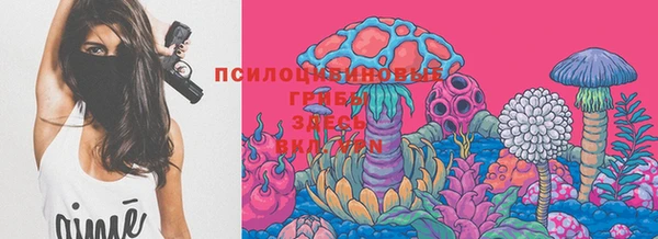 стафф Приозерск